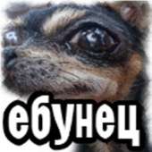 300x300