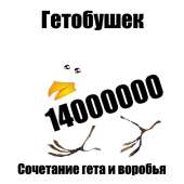 600x600