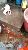 244x426