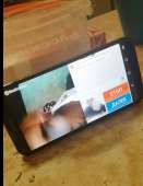 620x800