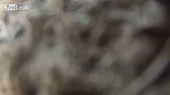 640x360