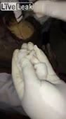 200x360
