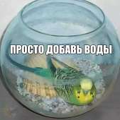 1074x1080