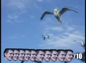 490x360
