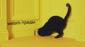 1280x720