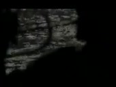 320x240