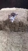 360x634
