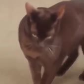 360x360