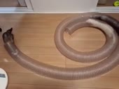460x344