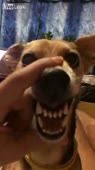 406x720