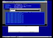 1237x891