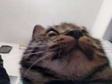 2560x1920