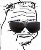 264x317