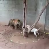 360x360