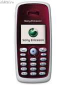 260x310