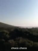 270x360