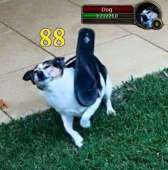 460x463