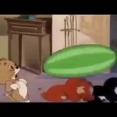 360x360