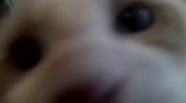 1280x720