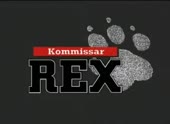 328x240
