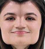 395x428