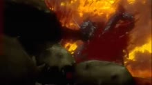 470x264