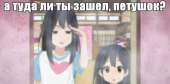 604x299