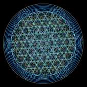 720x720
