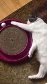 360x640