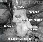 400x389