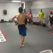 360x360