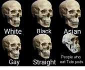 500x409