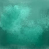 338x338