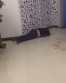 288x360