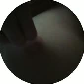 240x240