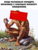 423x553