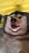 720x1278