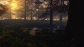 1280x720