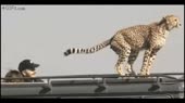 480x270
