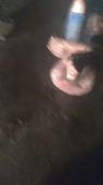 360x640