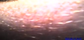 540x260
