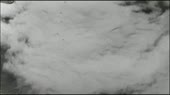 600x338