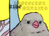 480x360