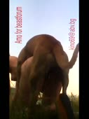270x360