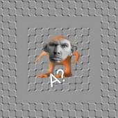 960x960