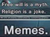 399x295