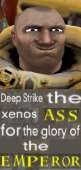 355x738