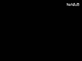 320x240