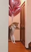 360x600