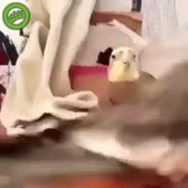 360x360